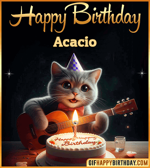 Happy Birthday Cat gif Funny Acacio