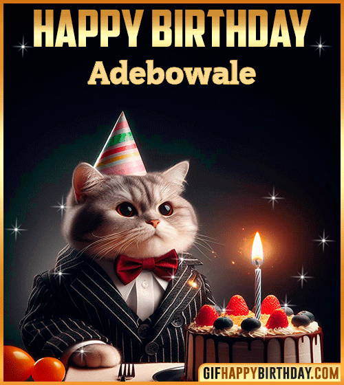Happy Birthday Cat gif for Adebowale