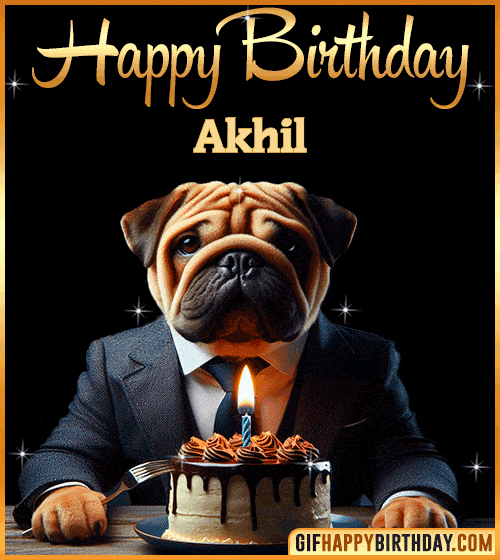 Funny Dog happy birthday for Akhil