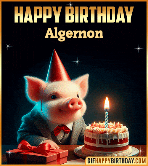 Funny pig Happy Birthday gif Algernon