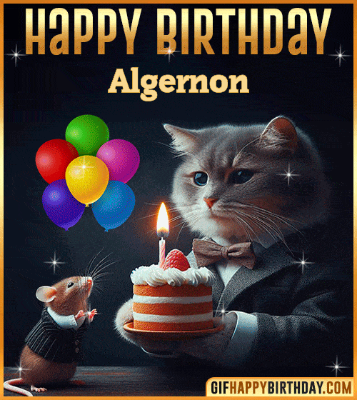 Happy Birthday Cat and Mouse Funny gif for Algernon