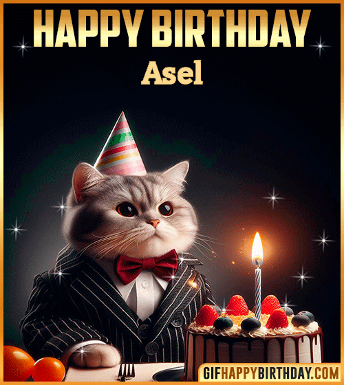 Happy Birthday Cat gif for Asel