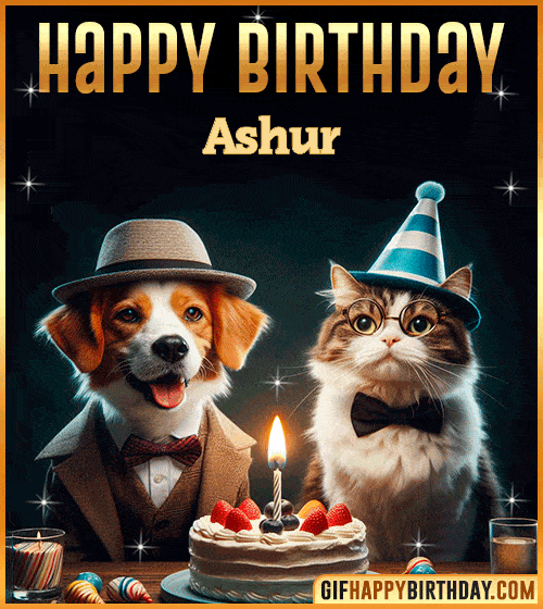 Gif Funny Cat Dog Happy Birthday Ashur