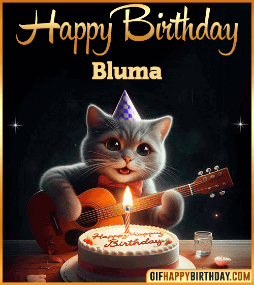 Happy Birthday Cat gif Funny Bluma