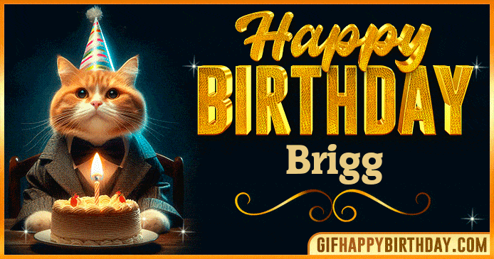 Happy Birthday Brigg GIF